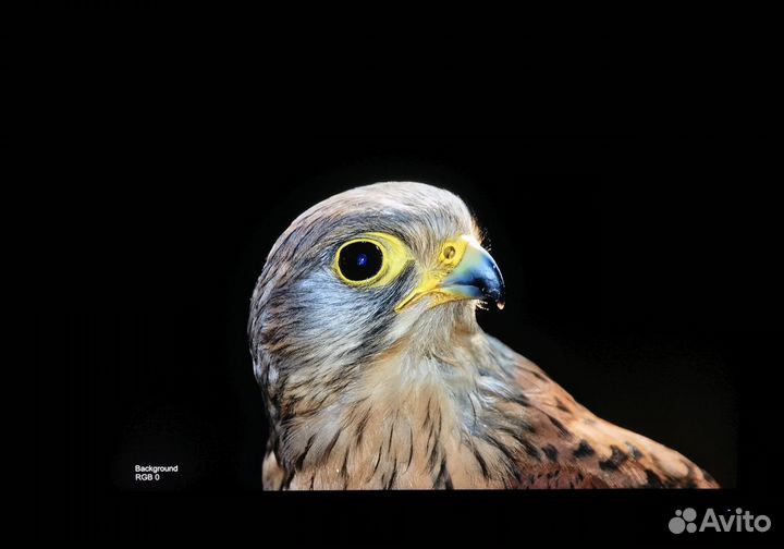 Монитор Acer Nitro VG270UPbmiipx