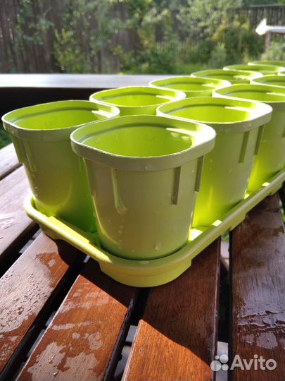 Стаканчики для рассады