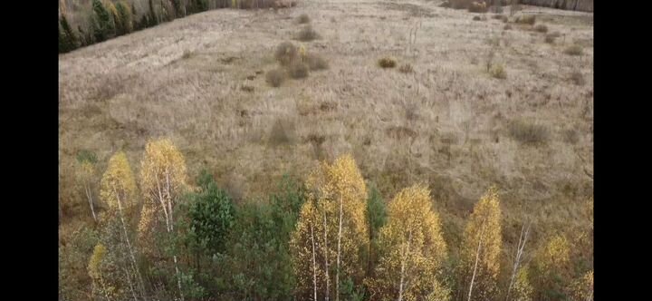 Участок 6,23 га (СНТ, ДНП)