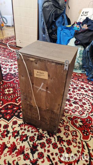 Колонки 50 ас-106 «Вега»