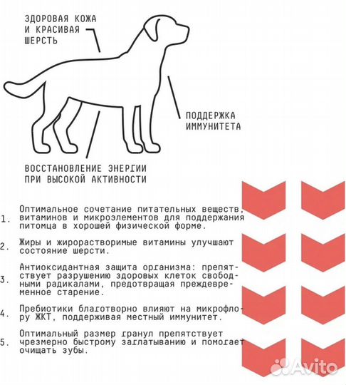 Корм для собак AJO Аджо Dog Medium Adult