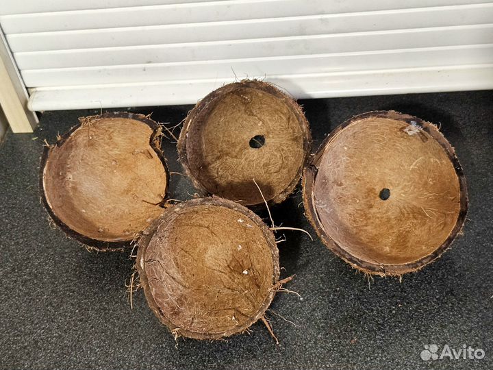 Кокосовая скорлупа