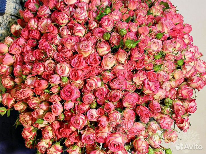 Кустовые розы букет с доставкой