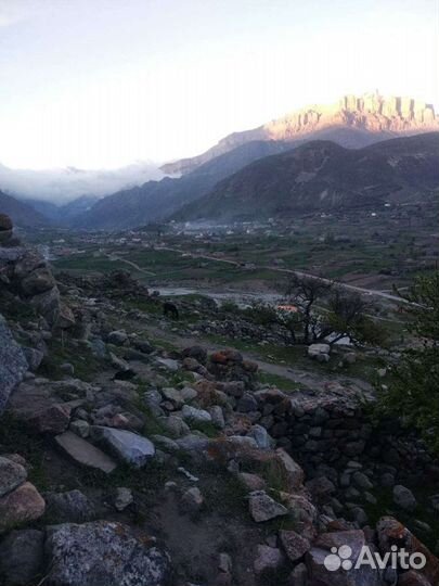 Экскурсии по Кавказу