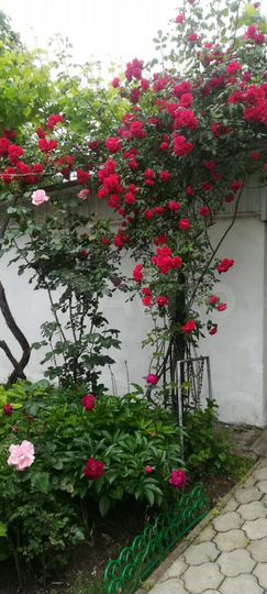 2-к. квартира, 45 м², 1/2 эт.