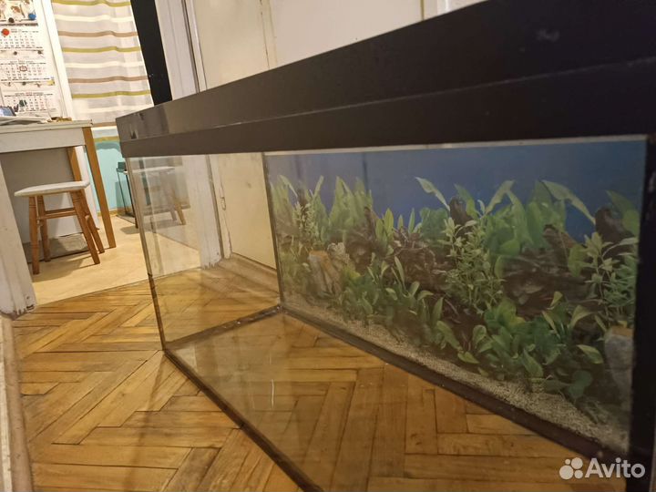 Аквариум на 260 литров