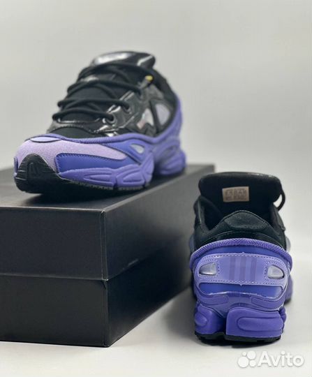 Adidas Ozweego 3 Raf Simons Purple Black