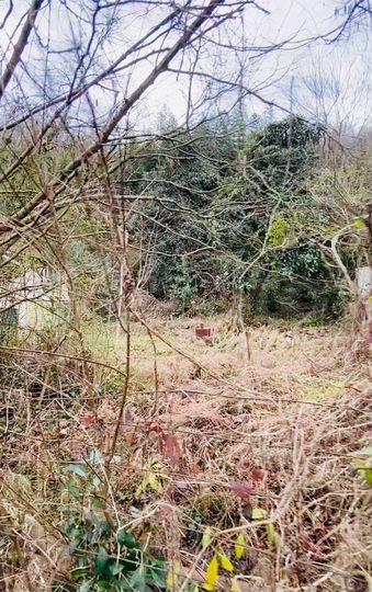 Участок 5,6 сот. (ИЖС)