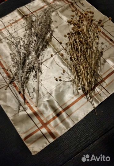 Ромашка, крапива, чистотел, полынь, малина