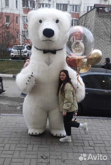 Белый Мишка поздравление