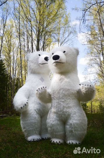 Поздравление от Белого Мишки