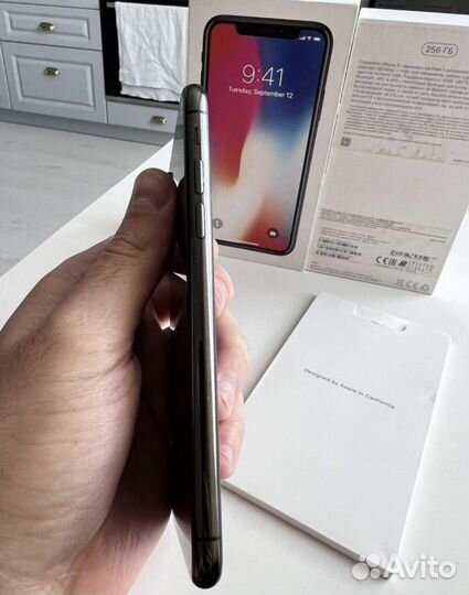 iPhone X, 256 ГБ