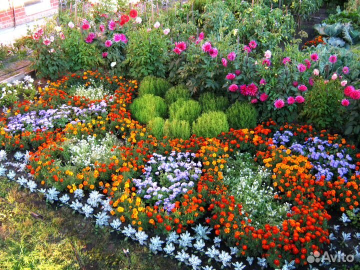 Перегной, чернозем, навоз