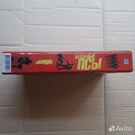 Бешеные псы канистра