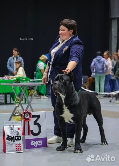 Уход за животными