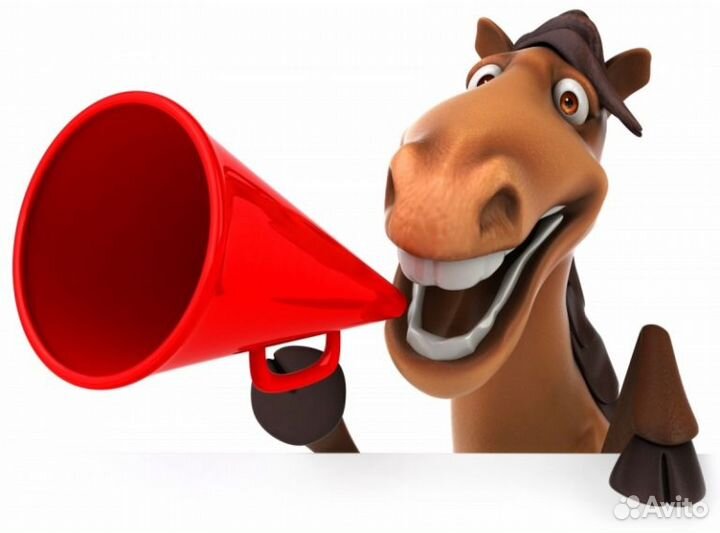 Конский навоз от элитных производителей