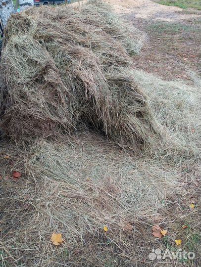 Сено в рулонах 2023 с доставкой