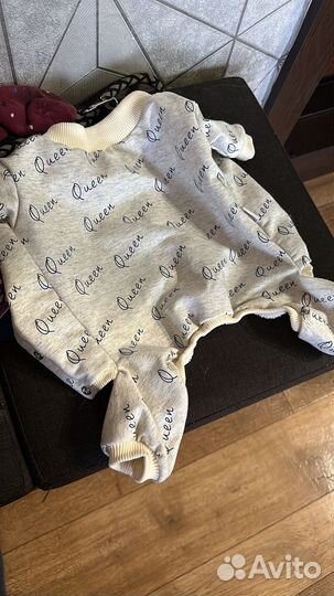 Костюм для собаки