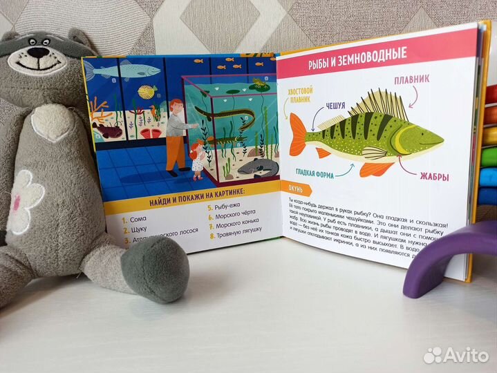 Детская книжка Clever найди и покажи