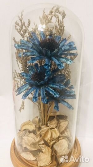 Клош стеклянный, сухоцветы