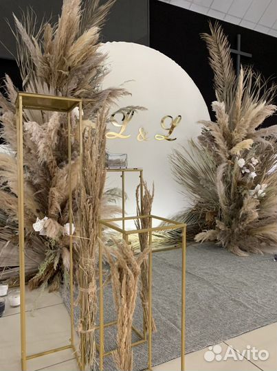 Сухоцветы для декора