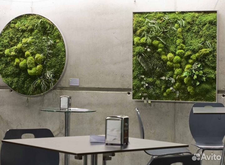 Панно из мха на кухню