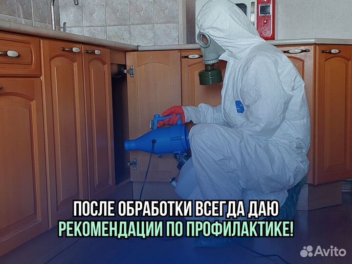 Уничтожение тараканов, травля клопов с гарантией