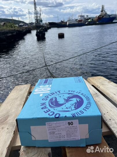 Креветка северная 90+