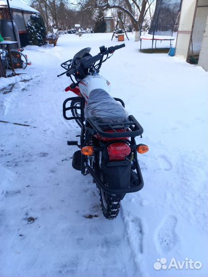 Новый мопед Alpha RS Forester