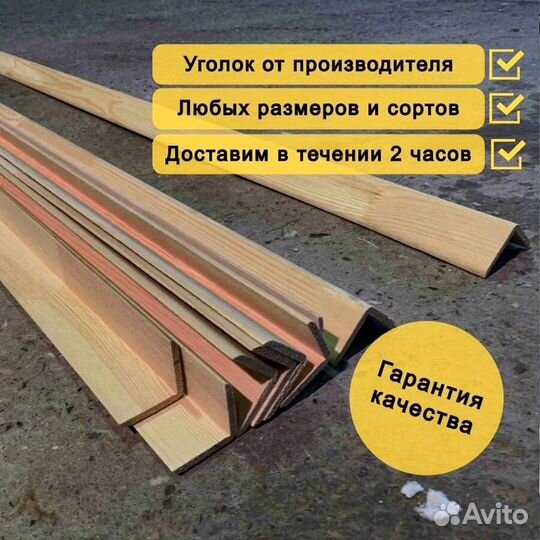 Уголок гладкий сосна