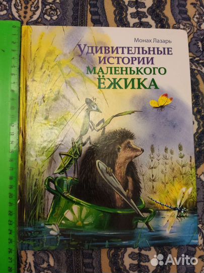 Удивительные истории маленького ёжика