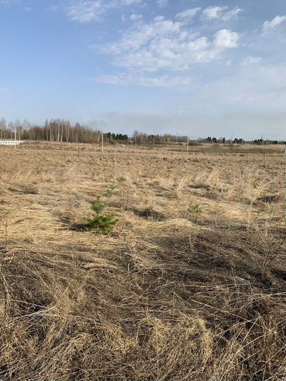 Участок 16 сот. (СНТ, ДНП)