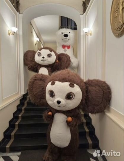 Умка и ушастик выезд на поздравление