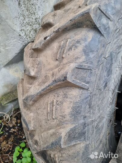 Резина 16.9 24