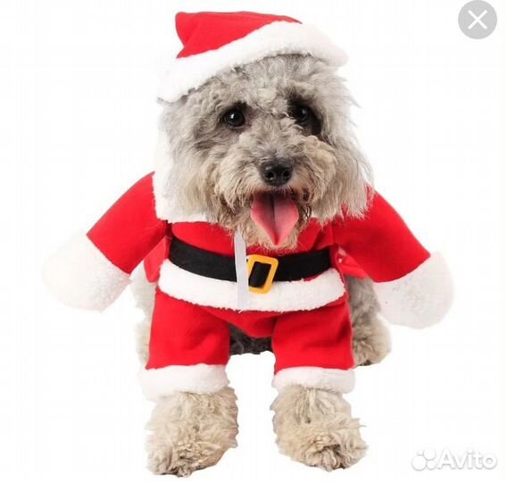 Новогодний костюм на собаку