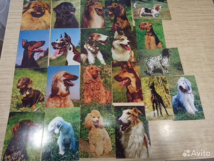 Книги разные