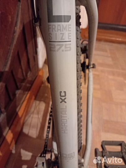 Велосипед читинского пирата