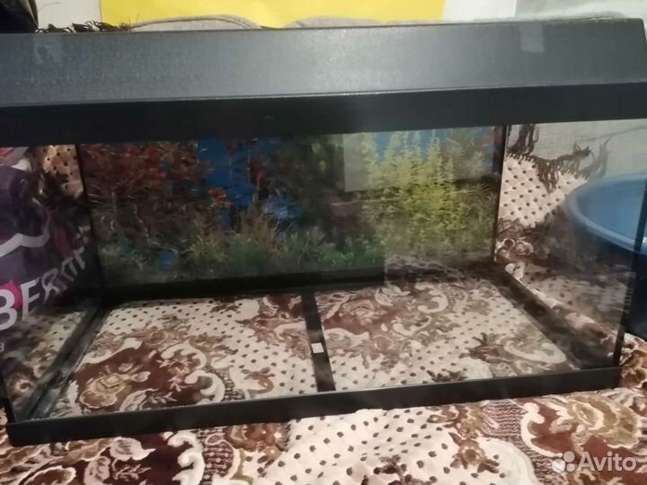 Аквариум