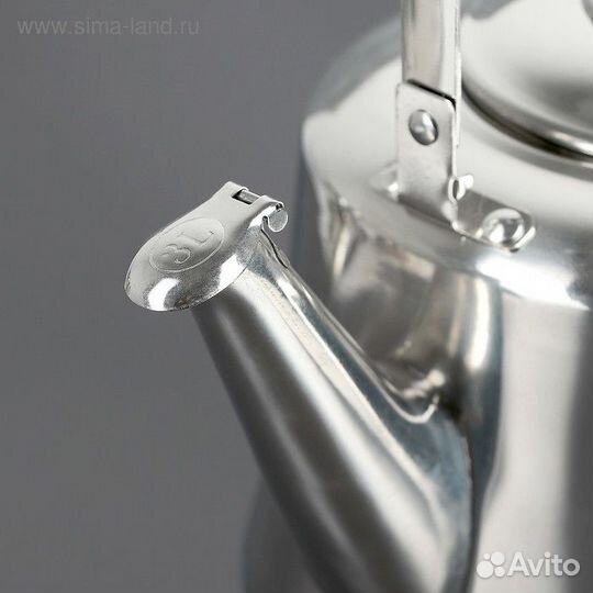 Чайник из нержавеющей стали «Чайковский», 3 л, цве