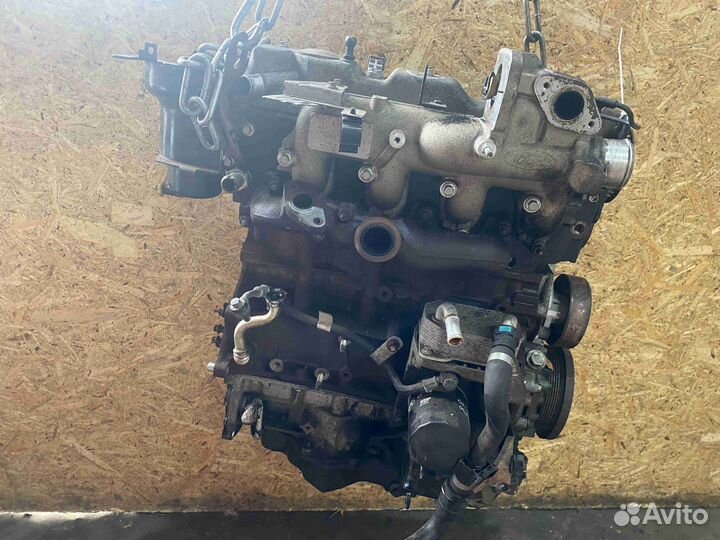 Двс (Двигатель) Ford Focus (2008-2011) qyba
