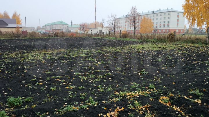 Участок 10 сот. (ИЖС)