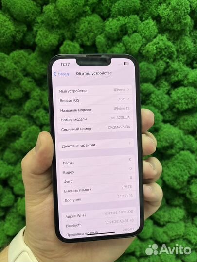 iPhone 13, 256 ГБ