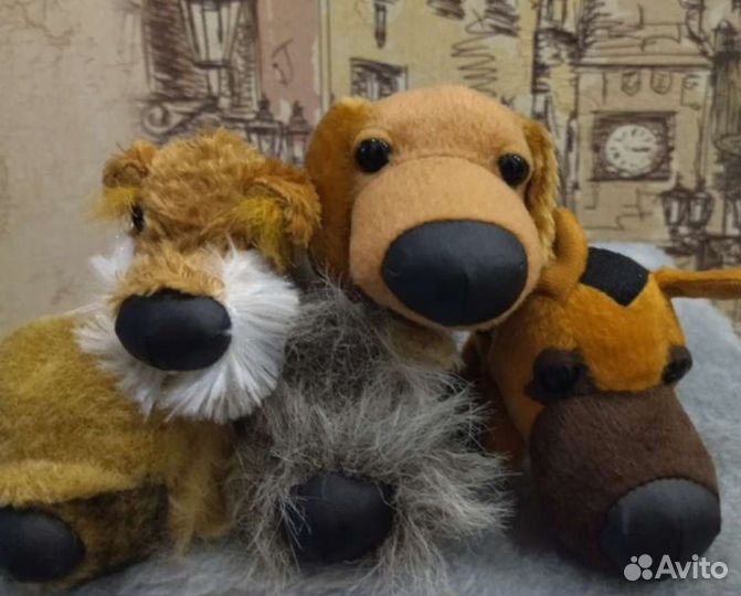 The dog collection