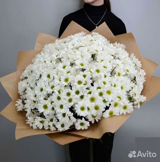 Хризантема Букет хризантем Доставка