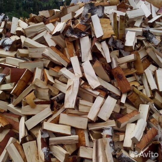 Дрова береза
