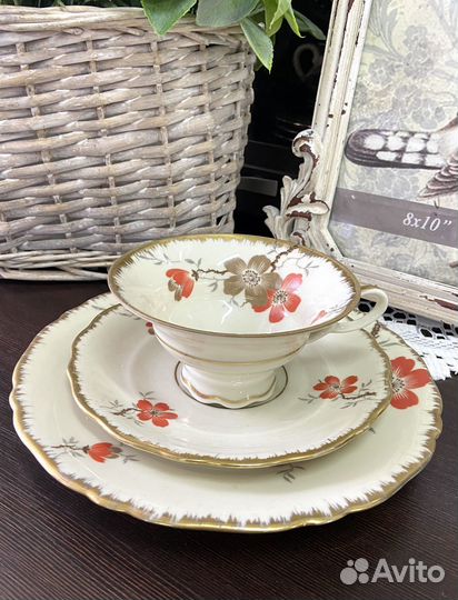 Чайное трио Altenburg