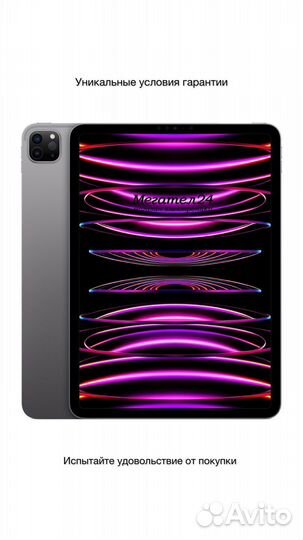 iPad Pro 11 M2 (2022) 2Tb Wi-Fi + Cellular Gray