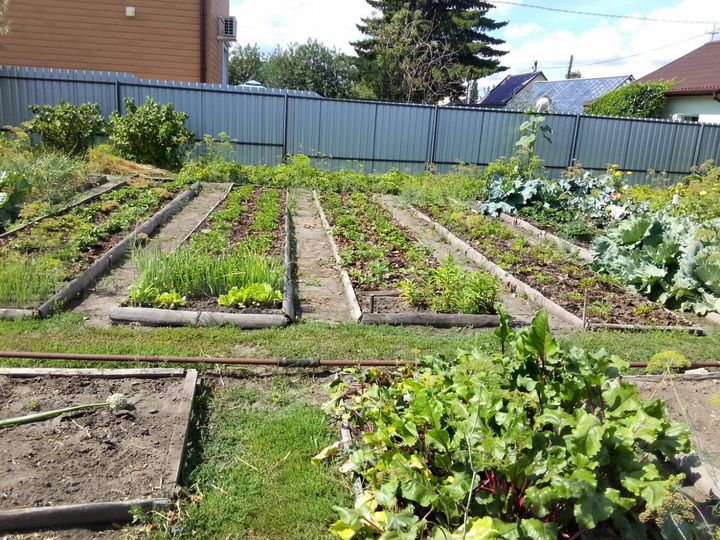 Дача 25 м² на участке 6,2 сот.