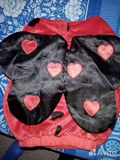 Костюм Божья коровка