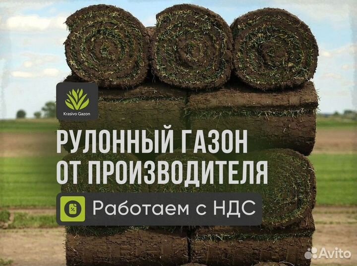 Газон. Работаем с НДС